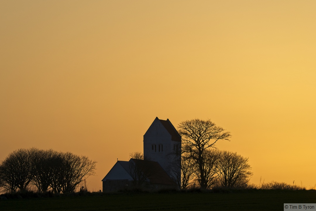 _DSC9308.jpg